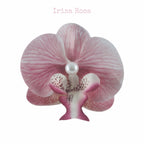 Orchid Barrette in Himalaya