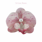 Orchid Barrette in Freckle – light pink orchid hair clip