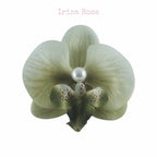 Orchid Barrette in Matcha – green orchid hair clip