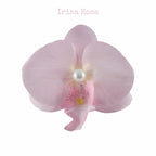 Orchid Barrette in Pink Jade – pink orchid hair clip