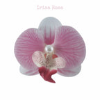 Orchid Barrette in Pink Salt – pale pink orchid hair clip