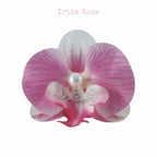 Orchid Barrette in Pitaya – dragon fruit pink orchid hair clip